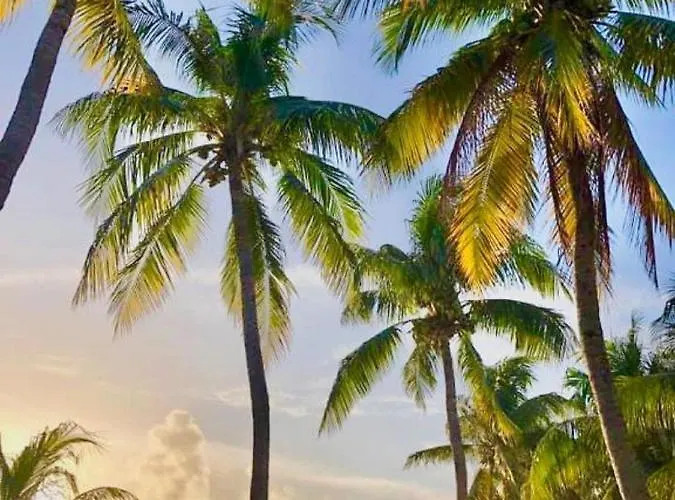 Vc Beach Suites